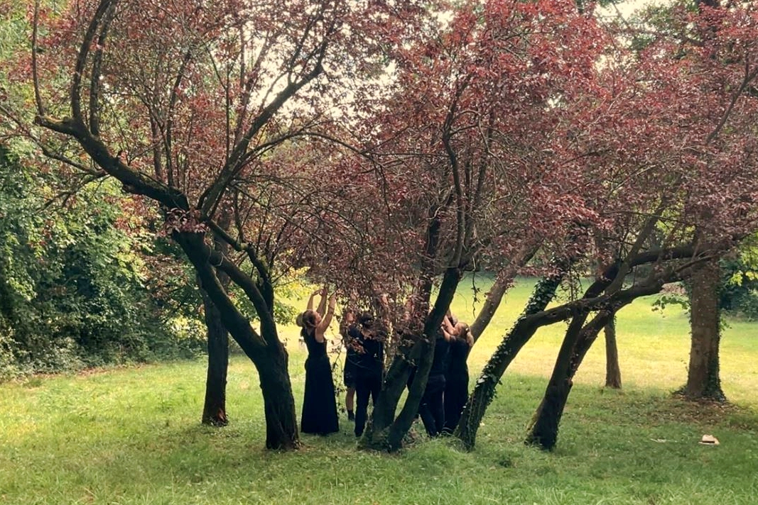 Zu sehen ist eine Menschengruppe zwischen Bäumen, die ihre Hände in die Luft strecken.