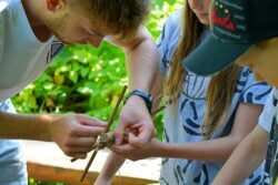 Zu sehen ist ein Lehrer mit zwei Schüler:innen, die gemeinsam an einem Naturobjekt aus Hölzern arbeiten